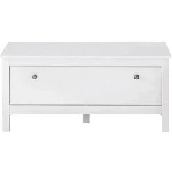 LES TENDANCES Coffre De Rangement 1 Porte Mélaminé Blanc Leone 91 Cm